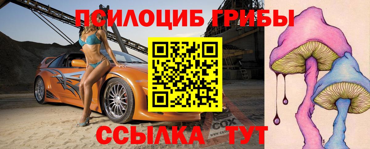 Псилоцибиновые грибы прущие грибы Гурьевск